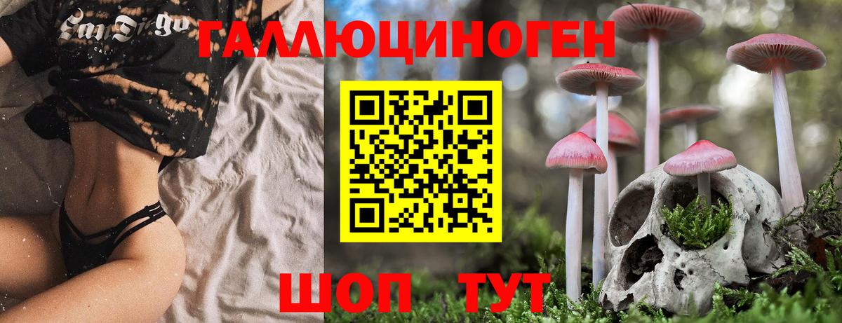 Мирный  Галлюциногенные грибы мицелий  Вход с VPN  Галлюциногенные грибы Psilocybine cubensis 